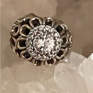 Pandora, floral brilliance sterling silver charm